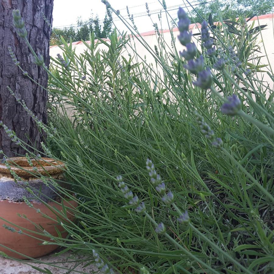 Bed and Breakfast Philoxenia Pourrieres Exterior foto